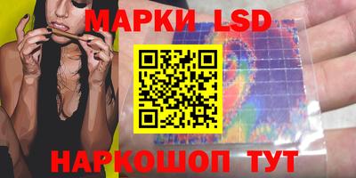 прущие грибы Апшеронск