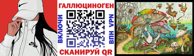 маркетплейс наркотические препараты  Ставрополь  MEGA зеркало  Галлюциногенные грибы Psilocybine cubensis  купить наркотики сайты 
