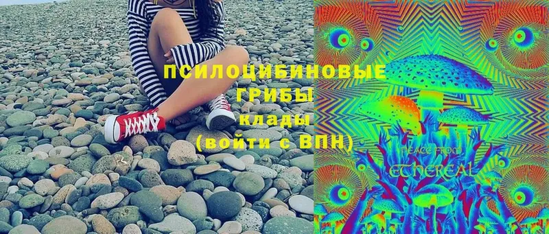 Галлюциногенные грибы Psilocybine cubensis  hydra вход  Ставрополь 