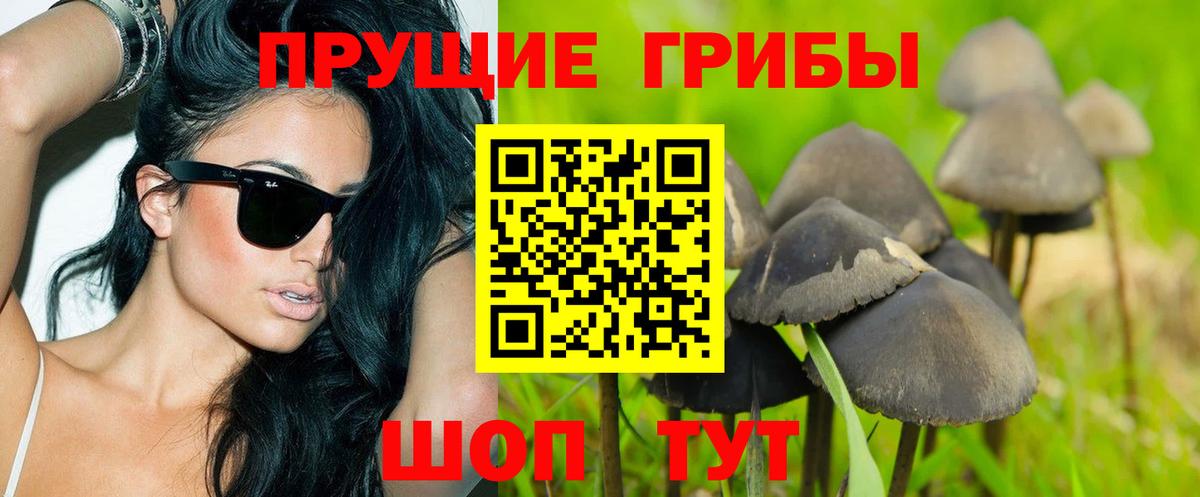 Псилоцибиновые грибы GOLDEN TEACHER  Псилоцибиновые грибы Magic Shrooms  Вход с VPN  Ставрополь 